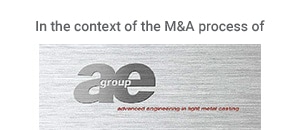 ae group (Conceptual preparation of an M&A process)